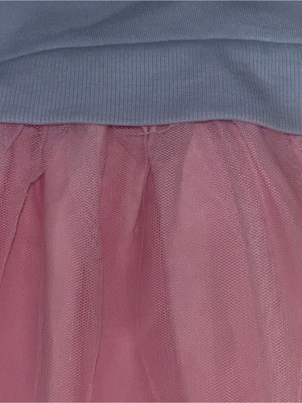 Bluey Blue & Pink Sweatshirt Tulle Dress Toddler Girls 5T